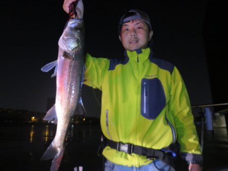 Chase(チェイス) 釣果