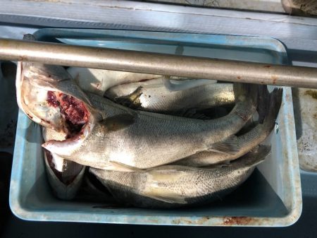 第二八坂丸 釣果