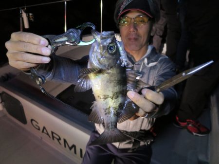 Chase（チェイス） 釣果