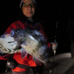 Chase(チェイス) 釣果