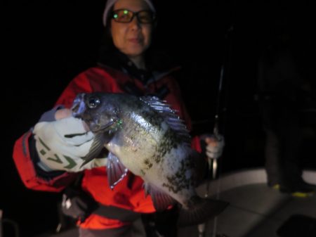 Chase(チェイス) 釣果