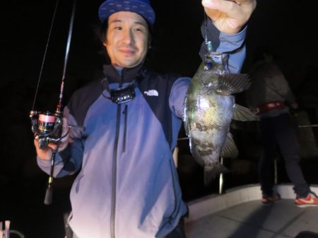 Chase(チェイス) 釣果