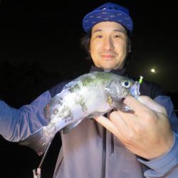 Chase(チェイス) 釣果