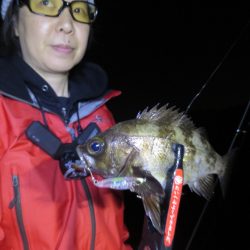 Chase(チェイス) 釣果