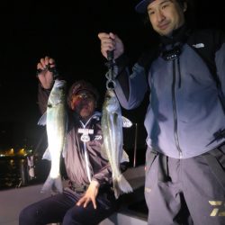 Chase(チェイス) 釣果