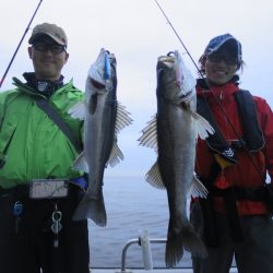 Chase(チェイス) 釣果