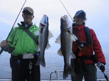 Chase(チェイス) 釣果