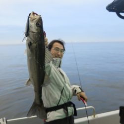 Chase(チェイス) 釣果