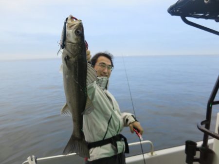 Chase(チェイス) 釣果