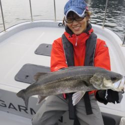 Chase(チェイス) 釣果