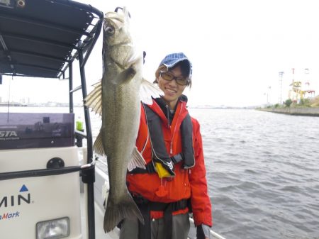 Chase(チェイス) 釣果