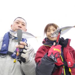 Chase(チェイス) 釣果