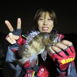 Chase(チェイス) 釣果