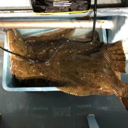 第二八坂丸 釣果