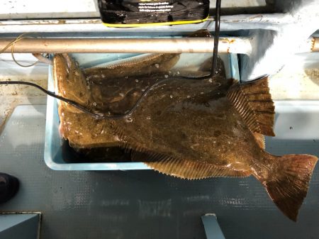 第二八坂丸 釣果