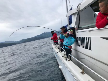 ARCADIAⅡ (アルカディアⅡ) 釣果