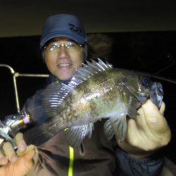 Chase(チェイス) 釣果