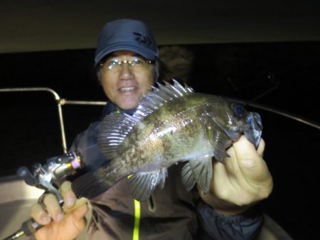 Chase(チェイス) 釣果