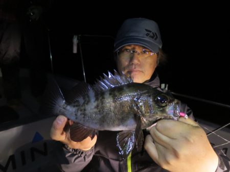 Chase(チェイス) 釣果