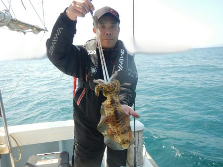 きずなまりん 釣果