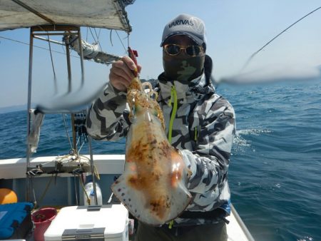 きずなまりん 釣果