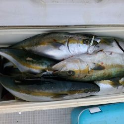 bay style 釣果