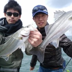 bay style 釣果