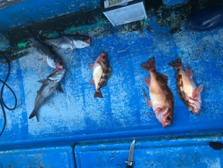 海龍丸（石川） 釣果