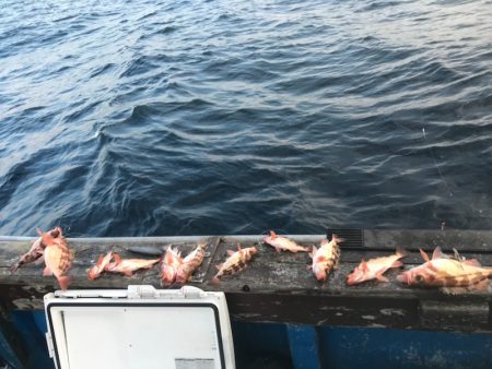 海龍丸（石川） 釣果
