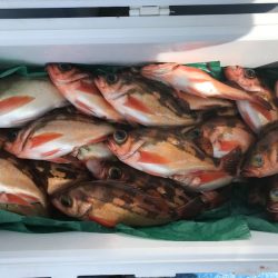 海龍丸（石川） 釣果