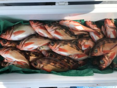 海龍丸（石川） 釣果