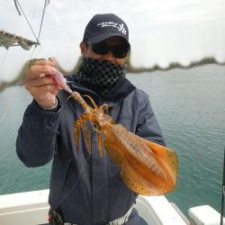 きずなまりん 釣果