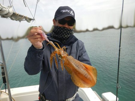 きずなまりん 釣果