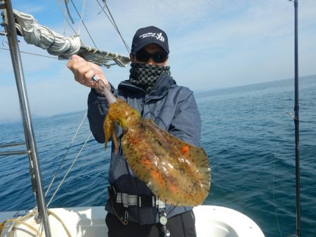 きずなまりん 釣果
