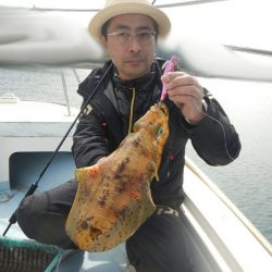 きずなまりん 釣果