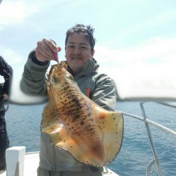 きずなまりん 釣果