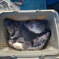 さち丸 釣果