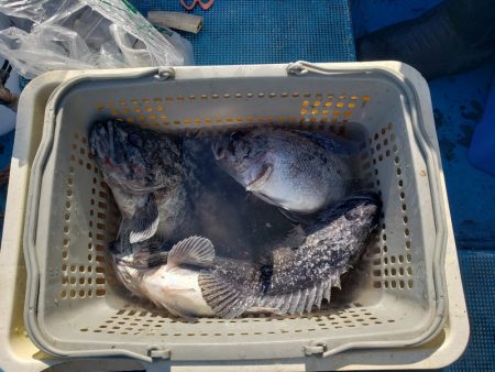 さち丸 釣果