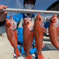 ぽん助丸 釣果