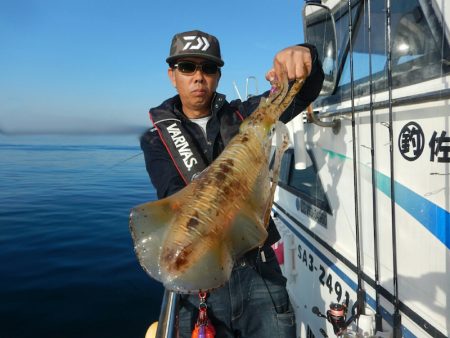 きずなまりん 釣果