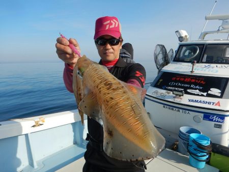 きずなまりん 釣果