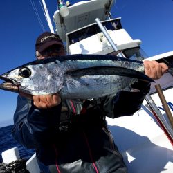 渡船屋たにぐち 釣果