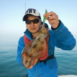 きずなまりん 釣果