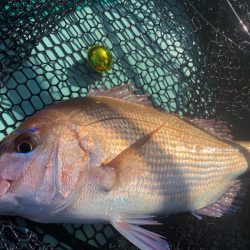 和栄丸 釣果