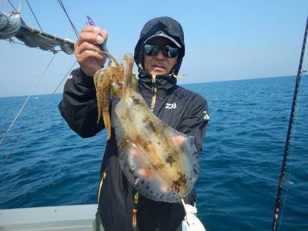 きずなまりん 釣果