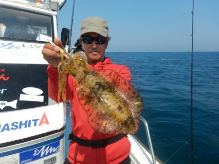 きずなまりん 釣果