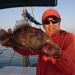 遊漁船　家入 釣果