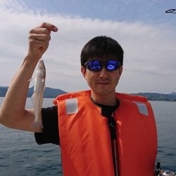 遊漁船 家入 釣果