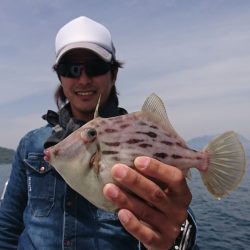 遊漁船 家入 釣果