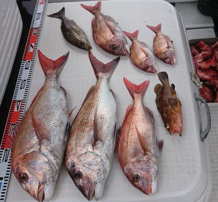 遊漁船　家入 釣果